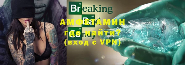 индика Балахна