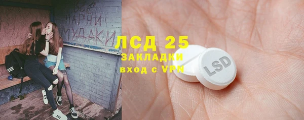 индика Балахна