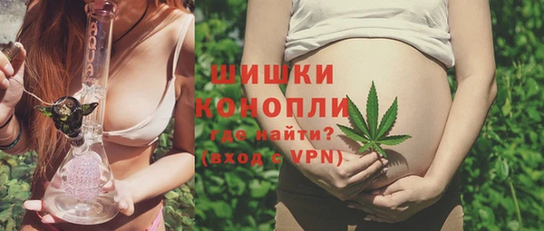 индика Балахна