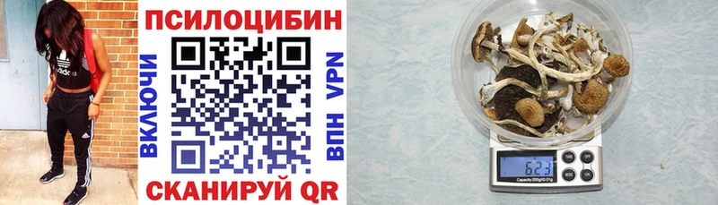 ссылка на мегу ТОР  что такое   Куса  Галлюциногенные грибы Magic Shrooms 